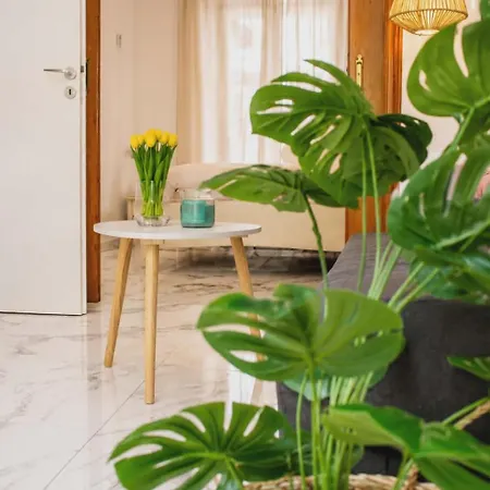 Apartament Angelic House